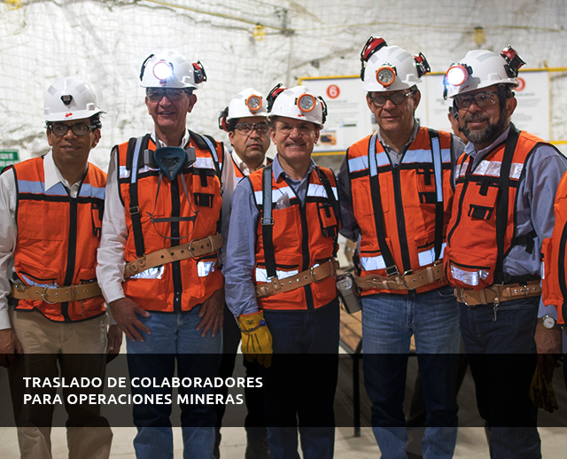 carrucel-moviltep-1-2